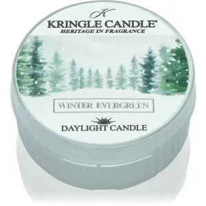 Kringle Candle Winter Evergreen bougie chauffe-plat 42 g
