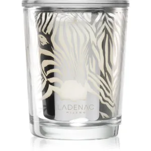 Ladenac Africa Zebra Camouflage bougie parfumée 70 g