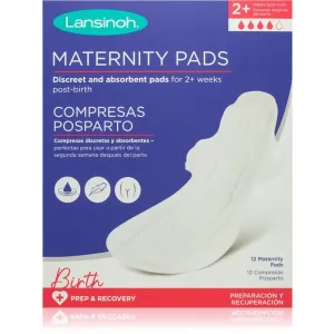 Lansinoh Maternity Pads 2 weeks+ serviettes hygiéniques de maternité 12 pcs