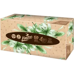 Linteo Paper Tissues Two-ply Paper, 100 pcs per box mouchoirs en papier 100 pcs