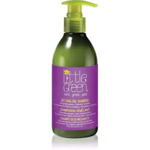 Little Green Kids shampoing pour enfant pour des cheveux faciles à démêler 240 ml