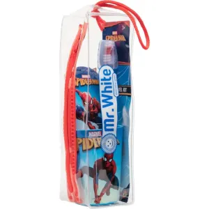 Marvel Spiderman Travel Dental Set Ensemble de soins dentaires 3y+(pour enfant)