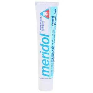 Meridol Gum Protection dentifrice qui stimule la régénération des gencives irritées 75 ml