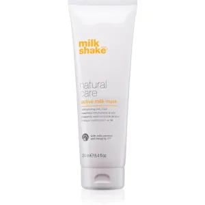 Milk Shake Natural Care Active Milk masque actif au lait pour cheveux secs et abîmés 250 ml #115852
