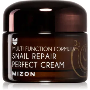 Mizon Multi Function Formula Snail crème visage à la bave d'escargot filtrée 60% 50 ml #104876