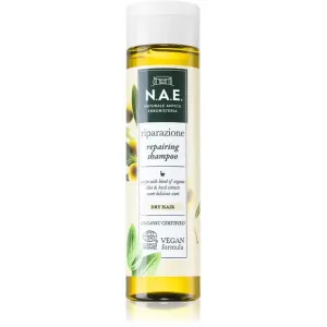 N.A.E. Riparazione shampoing régénérant pour cheveux secs 250 ml