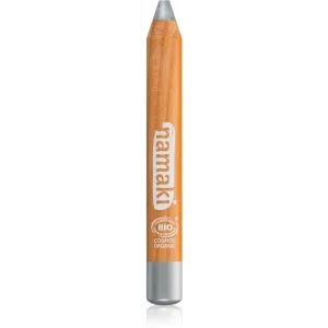 Namaki Face Paint Pencil crayon de maquillage pour le visage pour enfant Silver 1 pcs