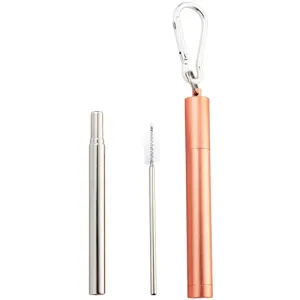 Naturalis Stainless Steel Straw Telescopic ensemble (à usage quotidien)