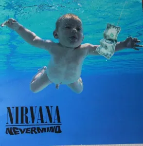 Nirvana - Nevermind (Box Set) (180g)