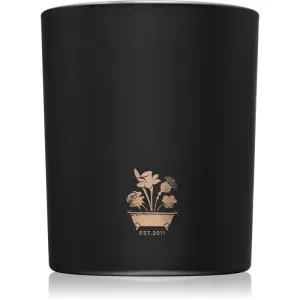 Noble Isle Willow Song bougie parfumée 200 g