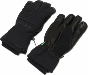 Oakley B1B Glove Blackout 2XL Gant de ski