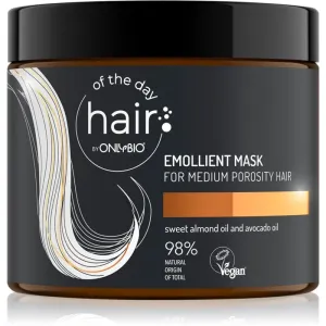 OnlyBio Hair Of The Day masque hydratant pour cheveux indisciplinés et frisottis 400 ml