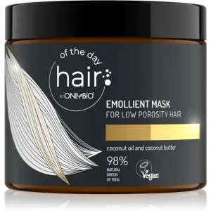 OnlyBio Hair Of The Day masque hydratant pour de beaux cheveux sains 400 ml