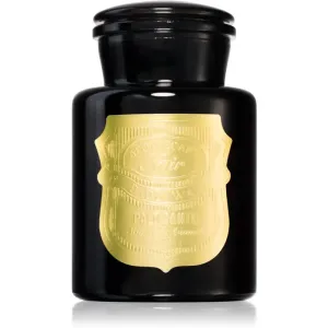 Paddywax Apothecary Noir Palo Santo bougie parfumée 226 g