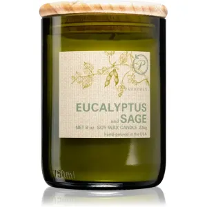 Paddywax Eco Green Eucalyptus & Sage bougie parfumée 226 g