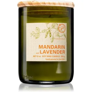 Paddywax Eco Green Mandarin & Lavender bougie parfumée 226 g