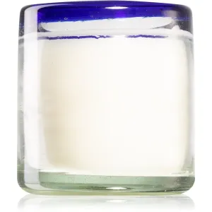 Paddywax La Playa Salted Blue Agave bougie parfumée 255 g