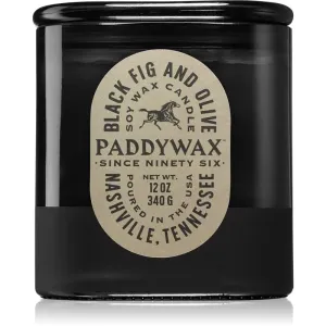Paddywax Vista Black Fig & Olive bougie parfumée 340 g