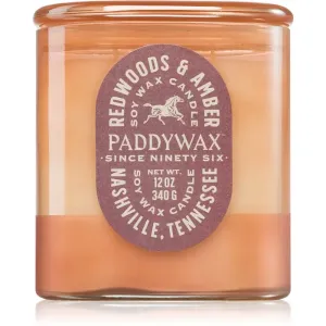 Paddywax Vista Redwoods & Amber bougie parfumée 340 g