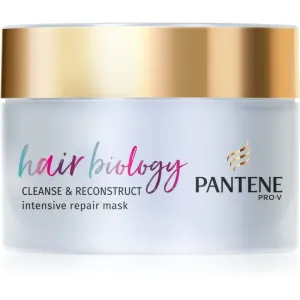 Pantene Hair Biology Cleanse & Reconstruct masque cheveux pour cheveux gras 160 ml