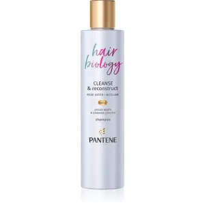 Pantene Hair Biology Cleanse & Reconstruct shampoing pour cheveux gras 250 ml