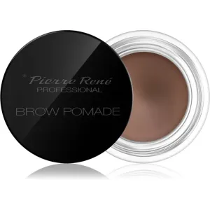 Pierre René Eyes Eyebrow pommade-gel sourcils teinte 01 Light Brown 4 g