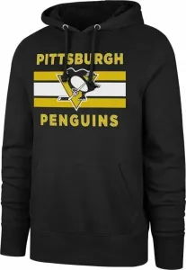 Le hockey Pittsburgh Penguins