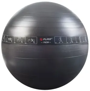 Pure 2 Improve Exercise Ball Noir 75 cm