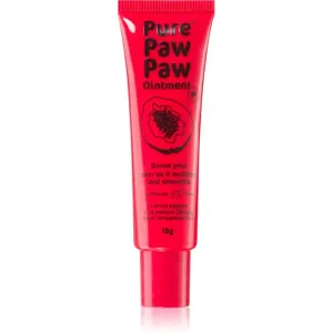 Pure Paw Paw Ointment baume à lèvres et endroits secs 15 g