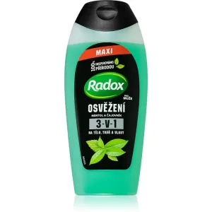 Radox Refreshment gel douche rafraîchissant pour homme 400 ml