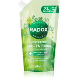 Radox Protect & Refresh savon liquide recharge 500 ml