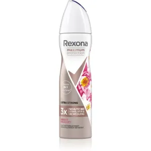 Rexona Maximum Protection Bright Bouquet spray anti-transpirant anti-transpiration excessive Extra Strong 150 ml