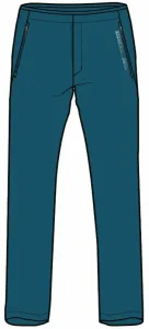 Rock Experience Powell 2.0 Man Pant Moroccan Blue M Pantalons outdoor