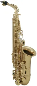 Roy Benson AS-202 Saxophones Alto