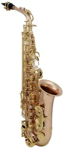Roy Benson AS-202G Saxophones Alto