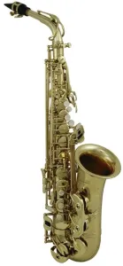Roy Benson AS-302 Saxophones Alto