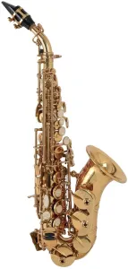 Roy Benson SG-302 Saxophones sopranos