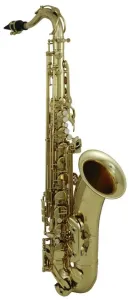 Roy Benson TS-202 Saxophones ténors