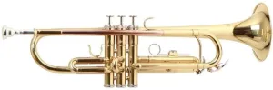 Roy Benson TR-101 Bb Trompette