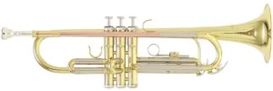 Roy Benson TR-202 Bb Trompette