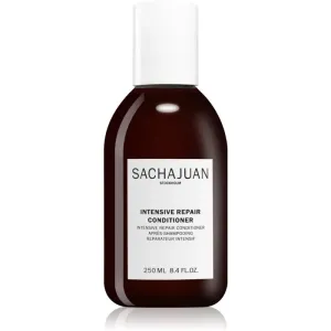 Sachajuan Intensive Repair Conditioner après-shampoing pour cheveux abîmés et exposés au soleil 250 ml #111840