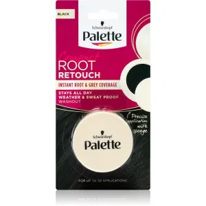 Schwarzkopf Palette Compact Root Retouch correcteur cheveux des racines et cheveux blancs effet poudré teinte Black 3 g