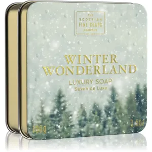Scottish Fine Soaps Winter Wonderland Luxury Soap savon solide de luxe en métal Cinnamon, Dried Fruits & Vanilla 100 g