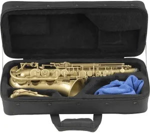 SKB Cases 1SKB-SC340 Alto Housse pour saxophone
