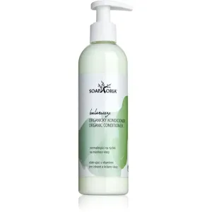 Soaphoria Hair Care après-shampoing bio pour cheveux gras 250 ml