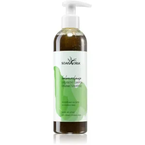 Soaphoria Hair Care shampoing liquide bio pour cheveux gras 250 ml