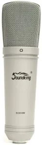 Soundking EC 010 W Microphone à condensateur pour studio