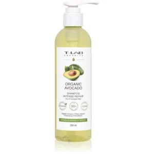 T-LAB Organics Organic Avocado Intense Repair Shampoo shampoing rénovateur pour cheveux abîmés et fragiles ml