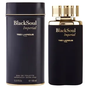 Ted Lapidus Black Soul Imperial Eau de Toilette pour homme 100 ml #106033