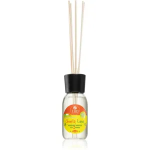 THD Home Fragrances Citronella Essence diffuseur d'huiles essentielles avec recharge 100 ml #583061